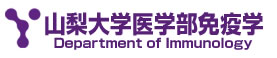 山梨大学医学部免疫学